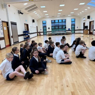 From Stance to Strike: Hornbeam Fences!