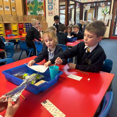 Science Investigation