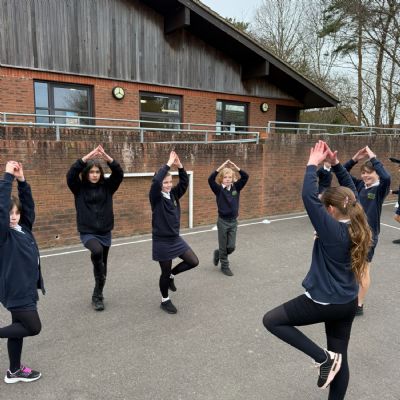 Energy and Enthusiasm: Year 5 Take on PR Circuits