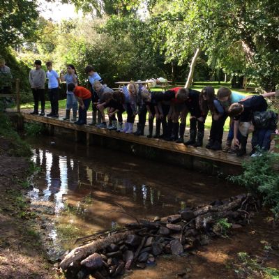 Ashford Water Works!