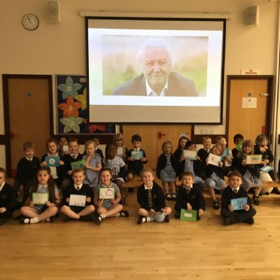 Pine Class Assembly