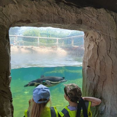 Weymouth Sealife Centre