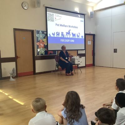 RSPCA Workshop