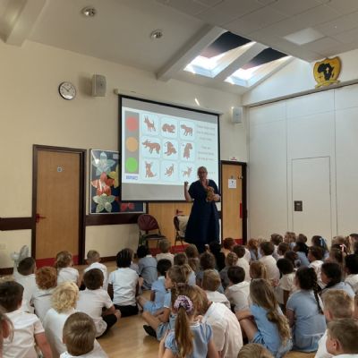 RSPCA Workshop