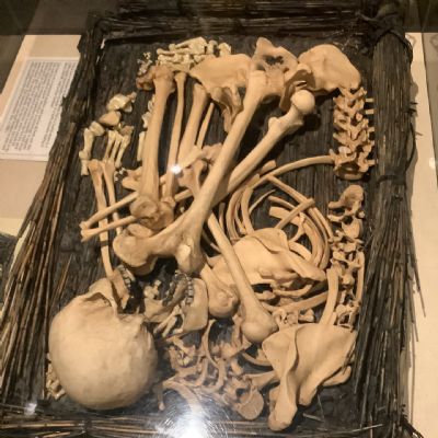 Tutankhamun Exhibition